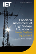 Condition Assessment of High Voltage Insulation in Power System Equipment